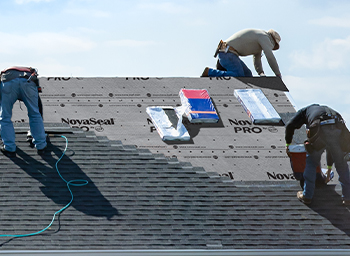 Roof Shrinkage NS Pro