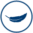 ICON-Lightweight