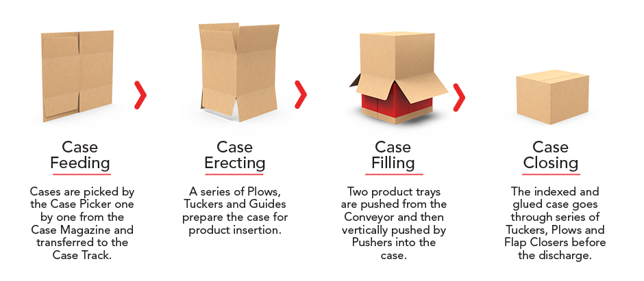 Case Feed Process