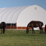 structure tente en tissu avec chevaux