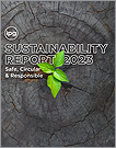 Thumbnail sustainability report